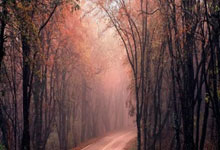 拜仁传奇队4-0皇马传奇队，赢得贝肯鲍尔杯传奇赛冠军.