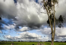 昔日防线中坚，AC米兰官推晒照祝内斯塔49岁生日快乐.