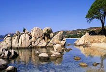 [中超]第23轮：上海申花VS上海海港.